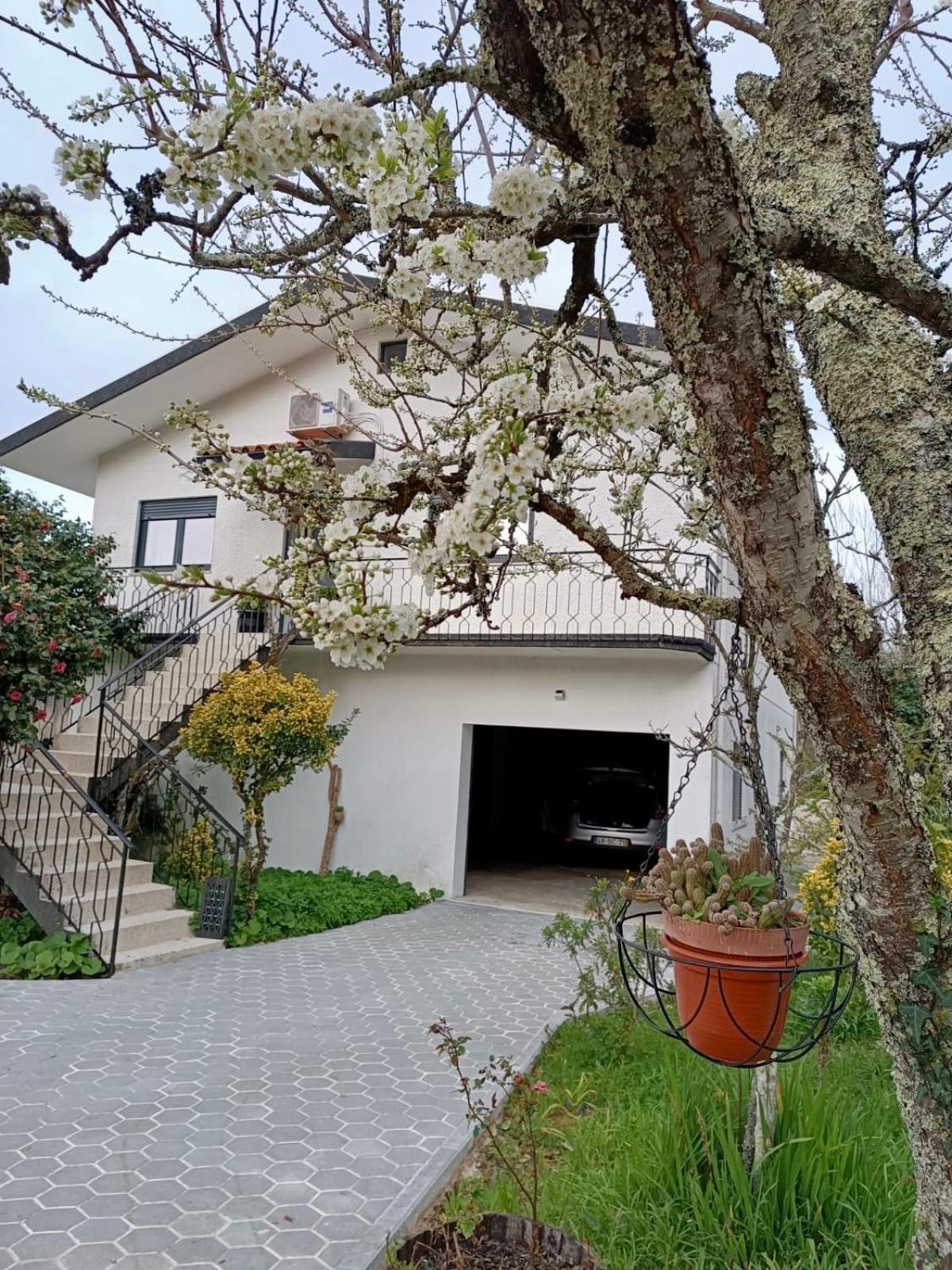 Casa De Fraguas Vila Aruouca Exterior foto